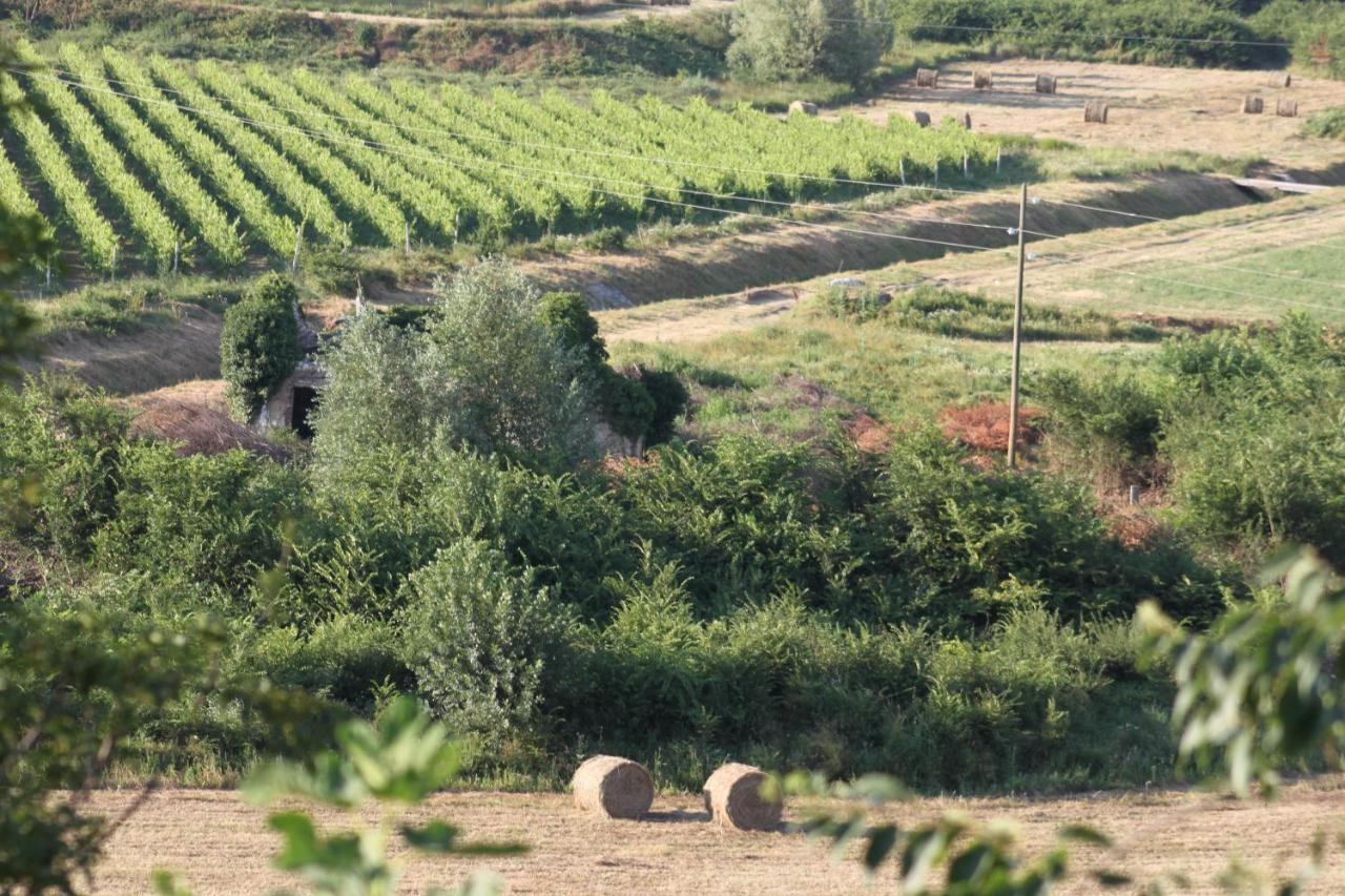 Apartmani Dienes Novi Vinodolski Exterior foto